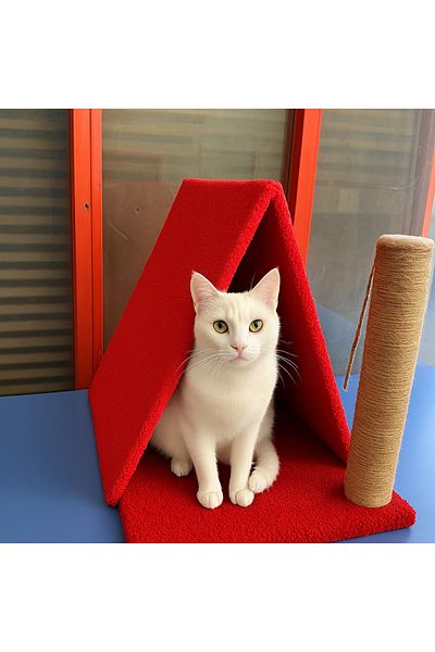 OneShop Roof Cat Scratching House