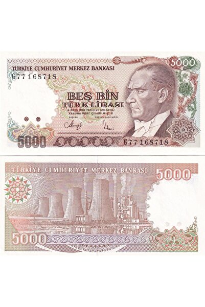 Benim Koleksiyonum Türkiye, 7. Emisyon 4. Tertip 5.000 TL ÇİL Eski Kağıt Para