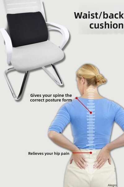 Viscomina كرسي العظام - دعم الخصر والظهر، وسادة الخصر المكتبية