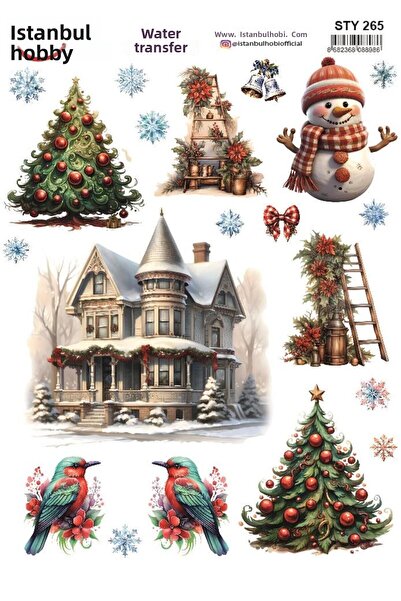 İstanbul Hobi نقل مائي للعام الجديد 25x35 سم STY265