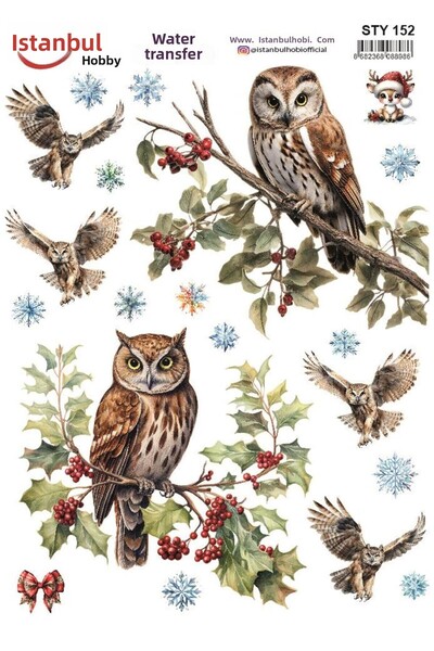 İstanbul Hobi نقل مائي للعام الجديد 25x35 سم STY152