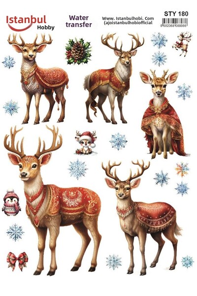 İstanbul Hobi نقل مائي للعام الجديد 25x35 سم STY180