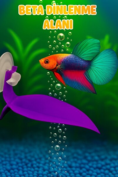 Akvaryum Beta Dinlenme Alanı ( Mor ) Betta Balığı Dinlenme Yaprağı Küçük Akva...