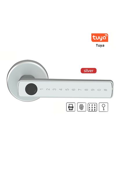 Choice 60-70 Latch S4 Tuya Silver Rynx Tuya Smart Fingerprint Lock Financial Level Electronic Indoor Lock P