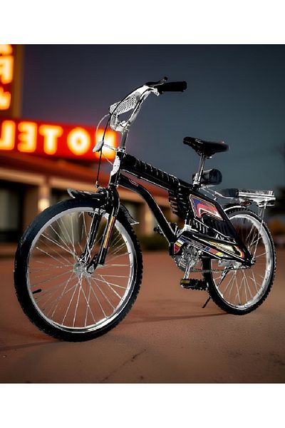 rexa 20-inch children's bicycle with training wheels designed for beginner riders.