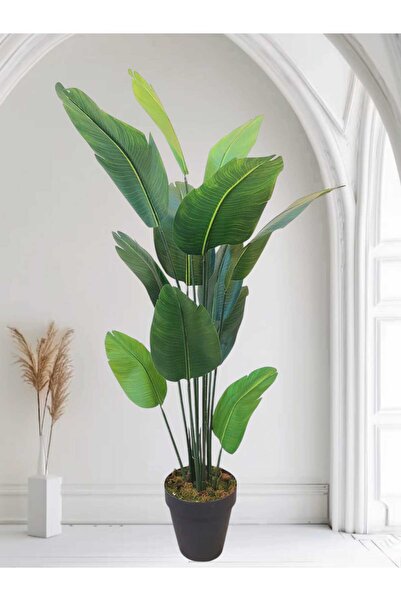 MAKİ DEKOR Yapay Ağaç Islak Dokulu Starliçe Salon Bitkisi 12 Büyük Yapraklı 180 Cm