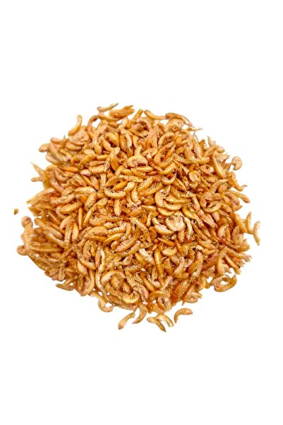 Ans Şeffaf Kutulu Kurutulmuş Gammarus Karides Kaplumbağa Ve Balık Yemi 20 gr Turtle Stick Yem Hediyeli