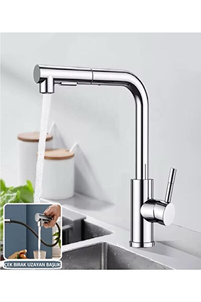 RENA DESIGN صنبور حوض المطبخ ذو حلزوني من الكروم، وضع مزدوج، وظيفة توفير، فضي...