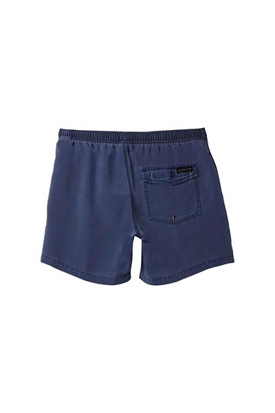 Quiksilver Ανδρικό σορτς καθημερινής Surfwash Volley 15