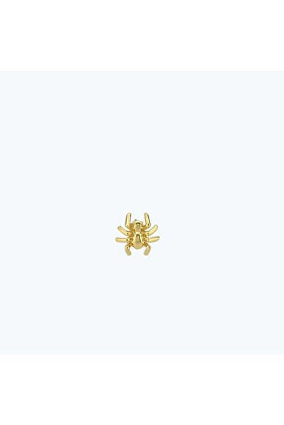 Altınbaş Altın Örümcek Tragus Piercing