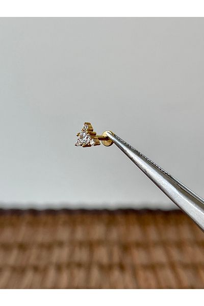 Rupen Kraft 316 L Surgical Steel Diamond Model Helix Tragus Lip Cartilage Piercing