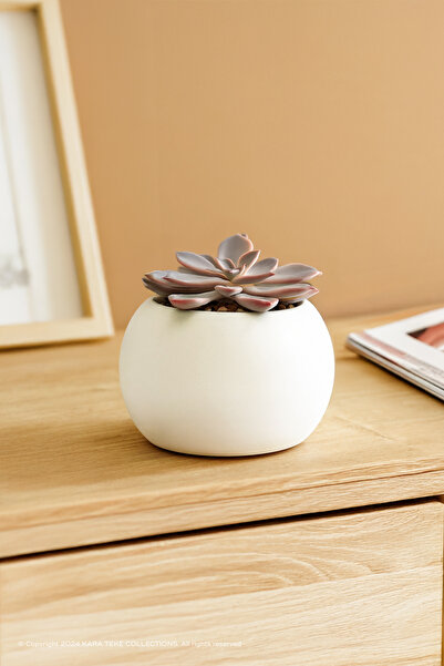 KARA TEKE COLLECTIONS Modern, Şık Ve Dekoratif Küre Beton Sukulent Saksısı (B...