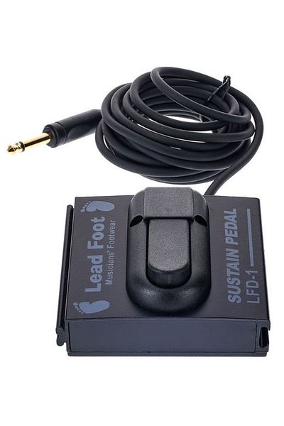 Lead Foot Lead Foot LFD-1 MKII sustain pedal