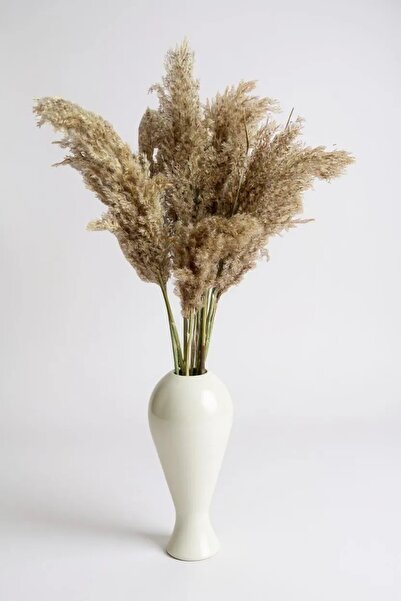 Alyones Gerçek Kuru Çiçek 7'li Büyük Boy Pampas 100 cm
