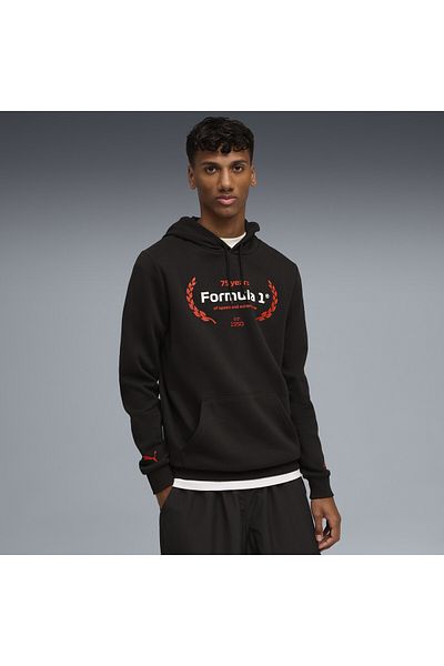 Puma Pánská mikina s kapucí F1® Essentials Logo Graphic