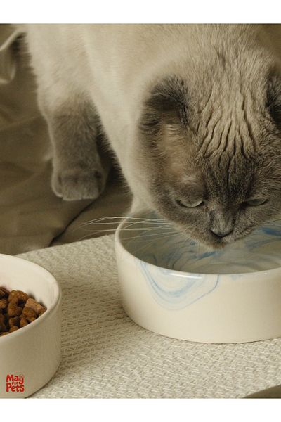 ARKHERA Set of 2 Ceramic Cat and Dog Bowls and Supla