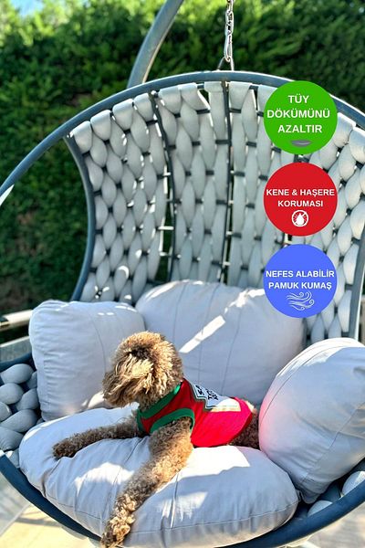 salya store 100% Cotton Summer Dog Undershirt, Combed Cotton Dog Clothing - Ketchup
