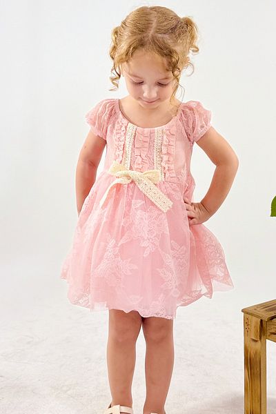 Baby Animals Baby Girl Girl Kid Birthday Party Wedding Dress Short Sleeve Ruched Lined Dress