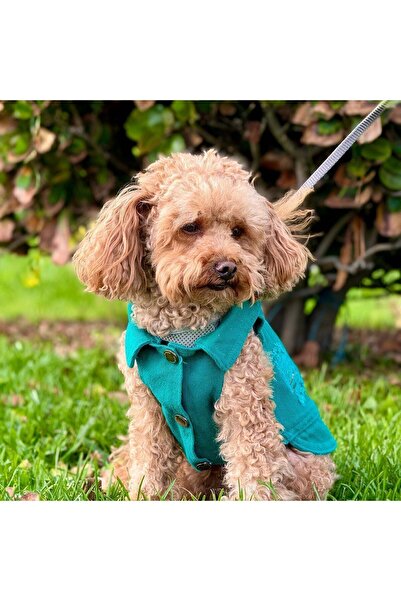 salya store Köpek Kot Ceket, Köpek Kıyafeti Çam Yeşili - Küçük Irk Köpek Kot Yelek (0-15KG)