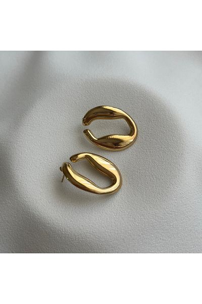 Arye Aksesuar Steel Earrings