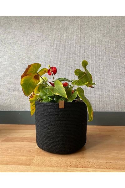 Sevdam Sepet Large Size Flower Pot - Flower Patterned Holster, Basket and Flower Pot