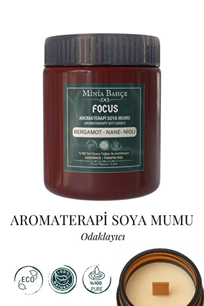 Focus Aromatherapy Soy Wax – 100% Natural Handmade | 150 g