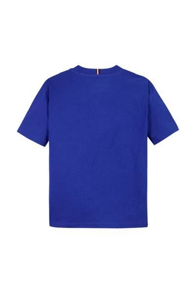 Tommy Hilfiger Tommy Hilfiger Boys Blue T-Shirts