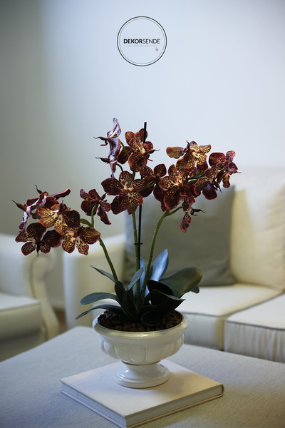 Dekorsende Yapay Vanda Orkide Dalı 52 cm Pembe