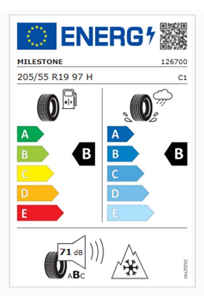 Milestone CarMile Winter 205/55R19 97H RF M+S 3PMSF 4x4 Kış Lastiği (Üretim Yılı: 2024)