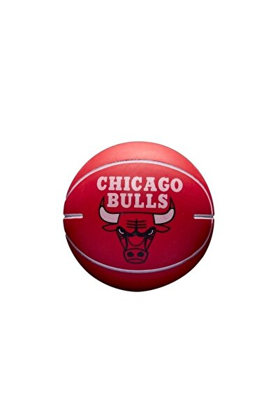 Wilson Nba Dribbler Mini Basketbol Topu Wtb1100pdqchı