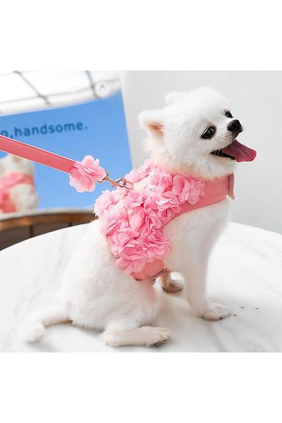 EDA LUXURY BEAUTY 2-Piece Special Dog Cat Luxury Chest Collar & Travel Outfit Set Small Breed Pink Fancy Pet Leash Set