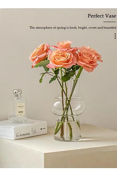 Generic Creative Transparent Glass Irregular Vase Craft Aesthetic Decoration