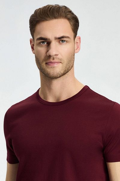 Hemington Crew Neck Burgundy Basic T-Shirt