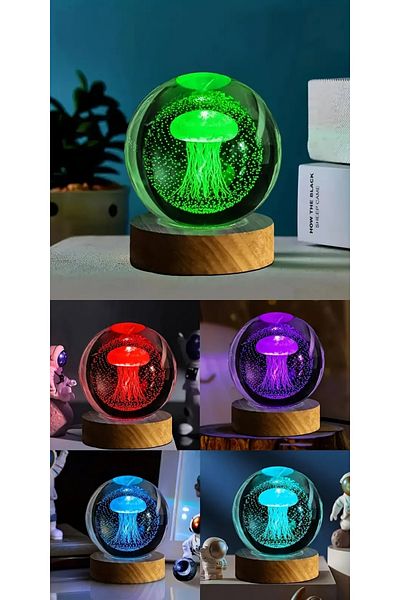 Wolawood Premium Crystal Glass Snow Globe 3D Illuminated Rgb Lamp Wooden Base Led Decorative USB Gift Set