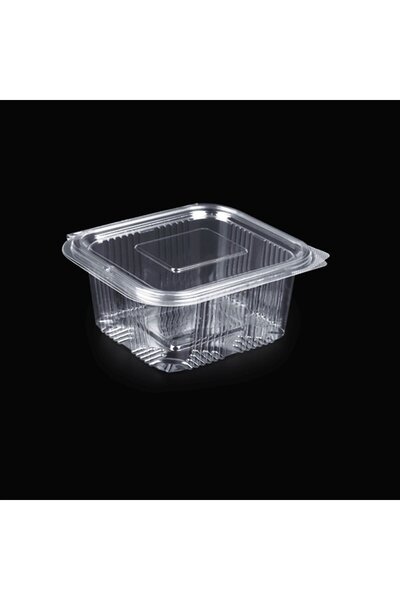 YUXE COLLECTION Leakproof 250 Gr Plastic Container – Safe and Practical Stora...
