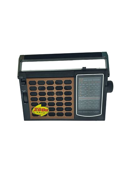 OEM Portable radio FM.TV/MW/SW1-9, telescopic antenna, VT-42011, 3.5mm jack output port