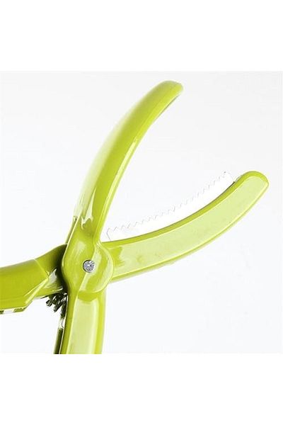 Mena Rise Diyar-Ifırsatshop Scriber Chesnut Cutter 1017157