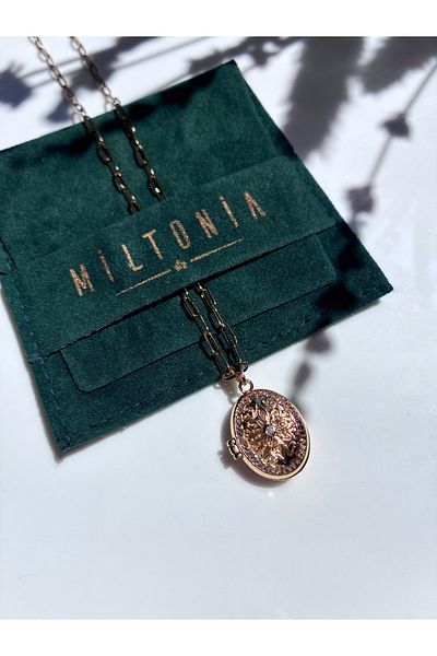 Miltonia Vintage Clamshell Steel Necklace