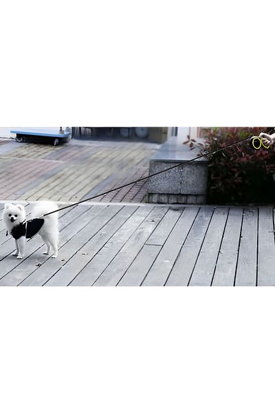 ideal STORE Lesa Retractabila Pentru Caini IdealStore, Dispozitiv de Blocare, Lungime 8 metri, Dimensiune 21 x 1