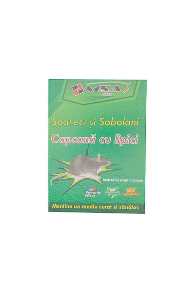 COBI SMART® Book-type glue trap, 21 x 16 cm, for mice, indoor use – COBI SMART®