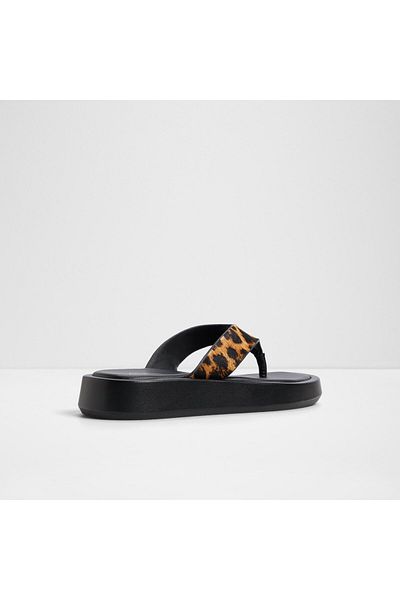 Aldo Multicolor GRETTLE falts for Women