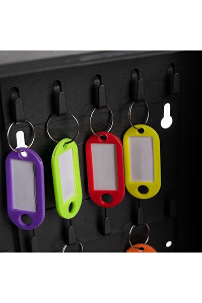 ideal STORE idealSTORE Key Storage Box, Iron, with Lock, Contains 30 Colorful Identifiers that can