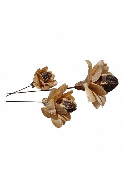 OEM Flori naturale stabilizate, set 3 bucati, crem, 57 cm