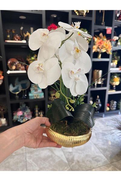 TASARIMHMODA Small Size Striped Flat Vase with Artificial Orchids No:2