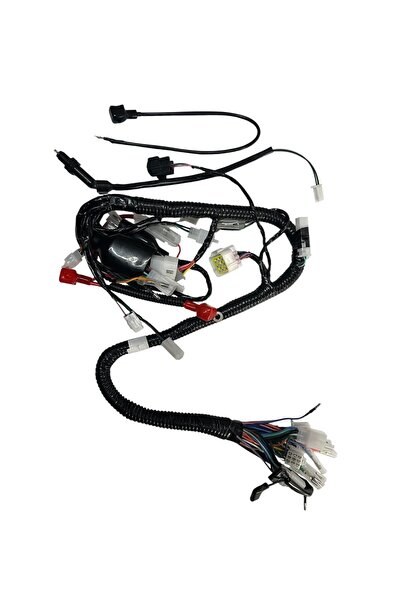 Mondial 50 Uag Ec Elektrik Tesisatı Komple