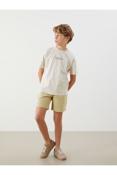 LC Waikiki Crew Neck Boy's T-Shirt