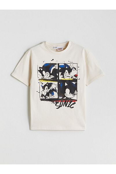 LC Waikiki Crew Neck Printed Boys' T-Shirt