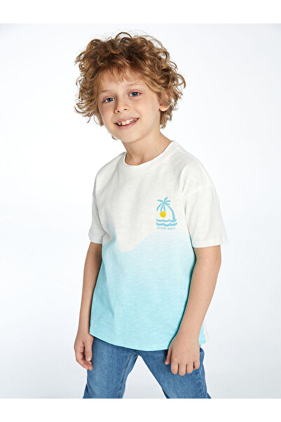 LC Waikiki Seray New Season Crew Neck Color Blocked Combed Cotton Baby Boy T-...