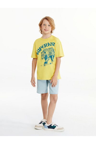 LC Waikiki Tricou pentru băiat cu gât crew