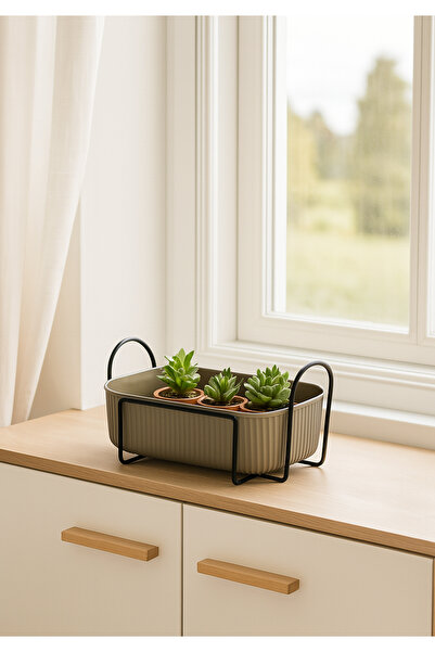 HOMİNG Homing İskandinav Tarz Antrasit Sukulent Standı 242089